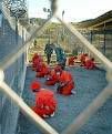 gitmo.jpg image by peakdavid